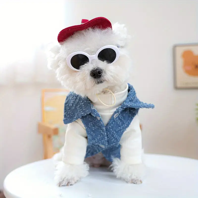 犬用ファッション野球帽 サングラス付きペット用日よけ帽子 犬 - Street Fashion Shoot のレビューと価格
